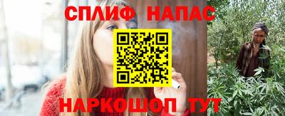 СК Коммунар