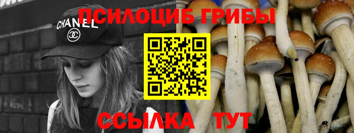 Галлюциногенные грибы мухоморы Киров