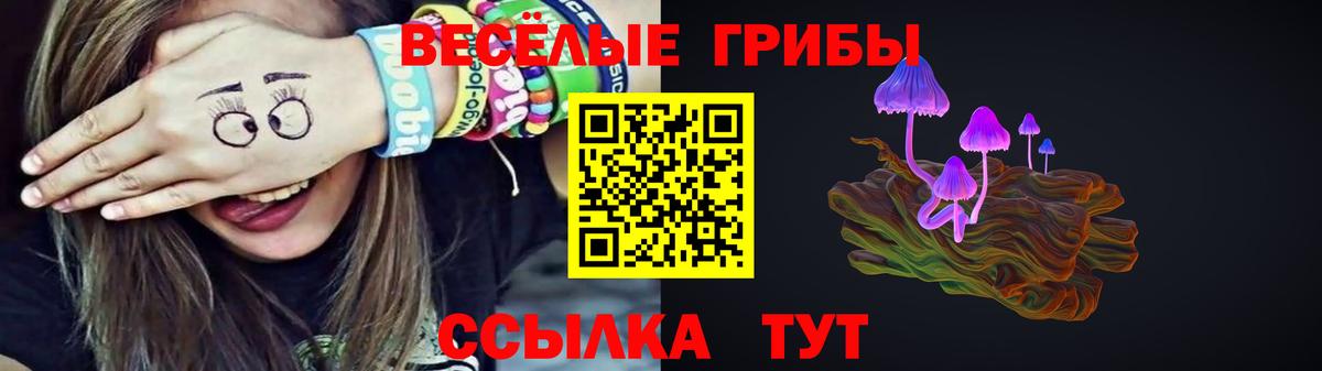 Киров  Галлюциногенные грибы мухоморы  Псилоцибиновые грибы GOLDEN TEACHER  Вход с VPN 